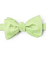 Dupioni Bow Ties