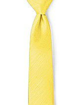 Men's Neck Ties in Dupioni