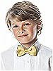 Boy's Clip Bow Tie in Duchess Satin