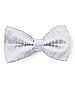 Boy's Clip Bow Tie in Dupioni