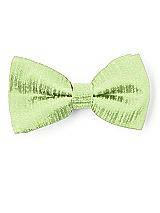 Boy's Clip Bow Tie in Dupioni