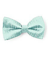 Boy's Clip Bow Tie in Dupioni