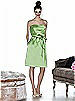 Cynthia Rowley Style 8013