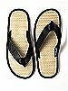 Men's Destination Flip Flop