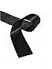 Ribbon for Dessy Style #6238