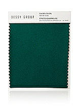 Stretch Charmeuse Swatch