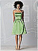 After Six Bridesmaids Style 6600