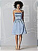 After Six Bridesmaids Style 6600