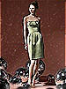 Social Bridesmaids Style 8104