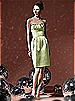 Social Bridesmaids Style 8104