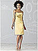 After Six Bridesmaid Dress 6618