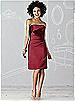After Six Bridesmaid Dress 6618