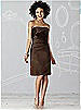 After Six Bridesmaid Dress 6618