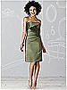 After Six Bridesmaid Dress 6618