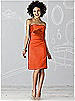 After Six Bridesmaid Dress 6618