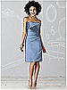 After Six Bridesmaid Dress 6618
