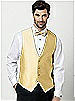 Paragon Vest