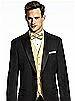 Paragon Pocket Square