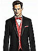 Paragon Pocket Square