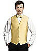 Aries Vest for Men