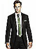Paragon Skinny Tie