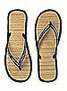 Sparkle Flip Flop